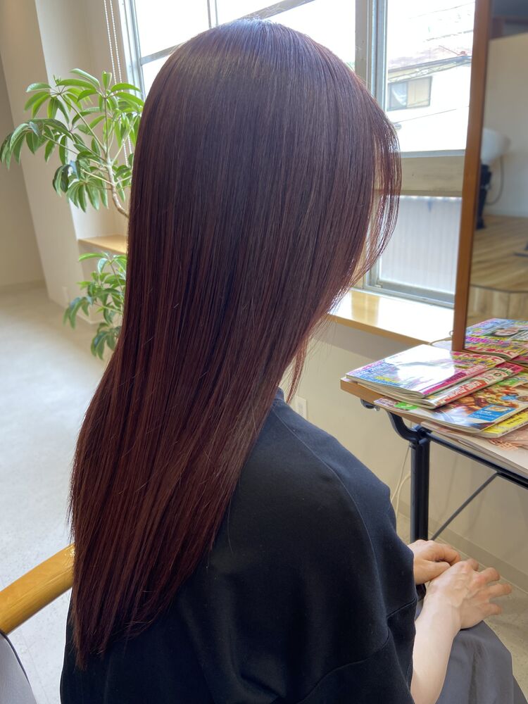 ブログ